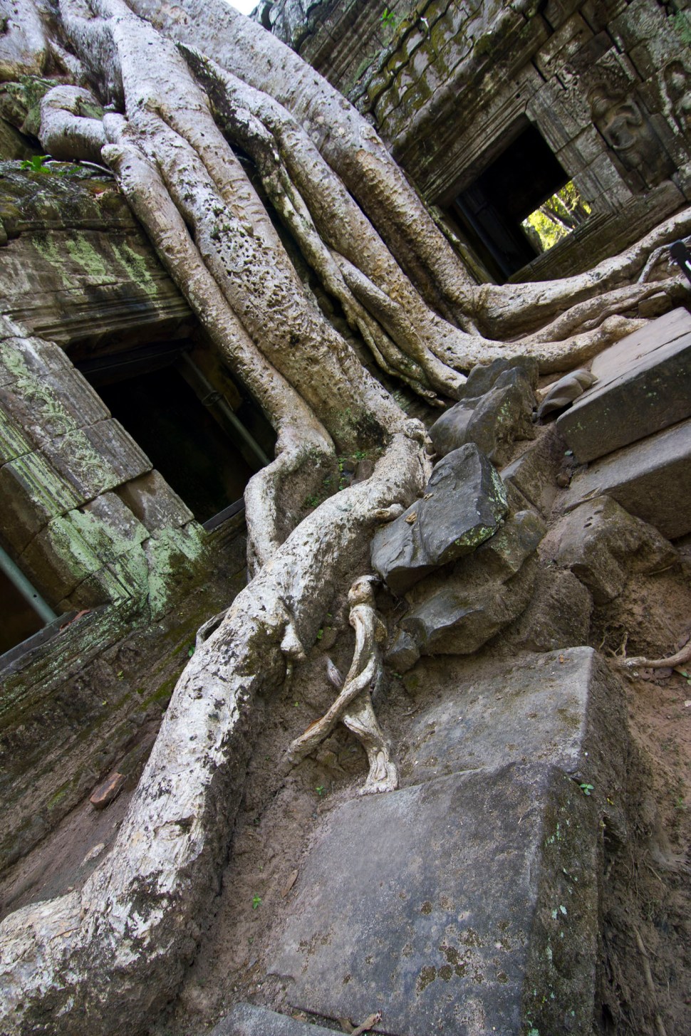 taprohm02