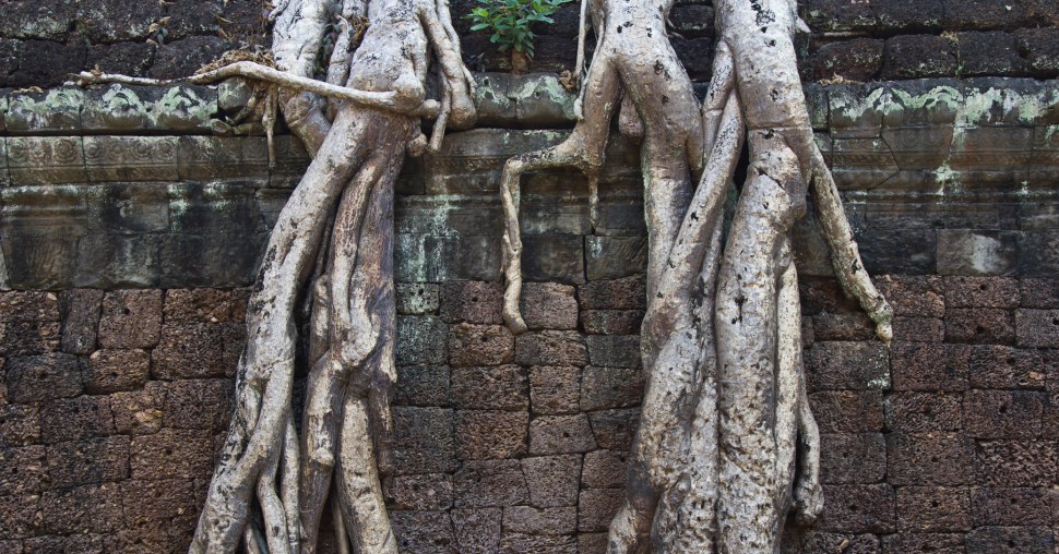 taprohm07