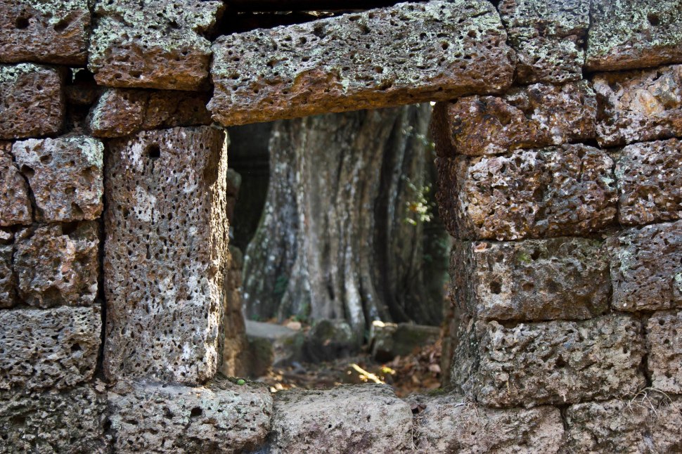 taprohm08