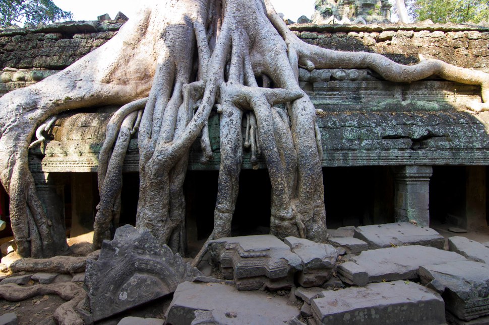 taprohm10