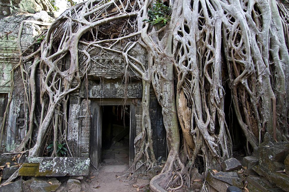taprohm11