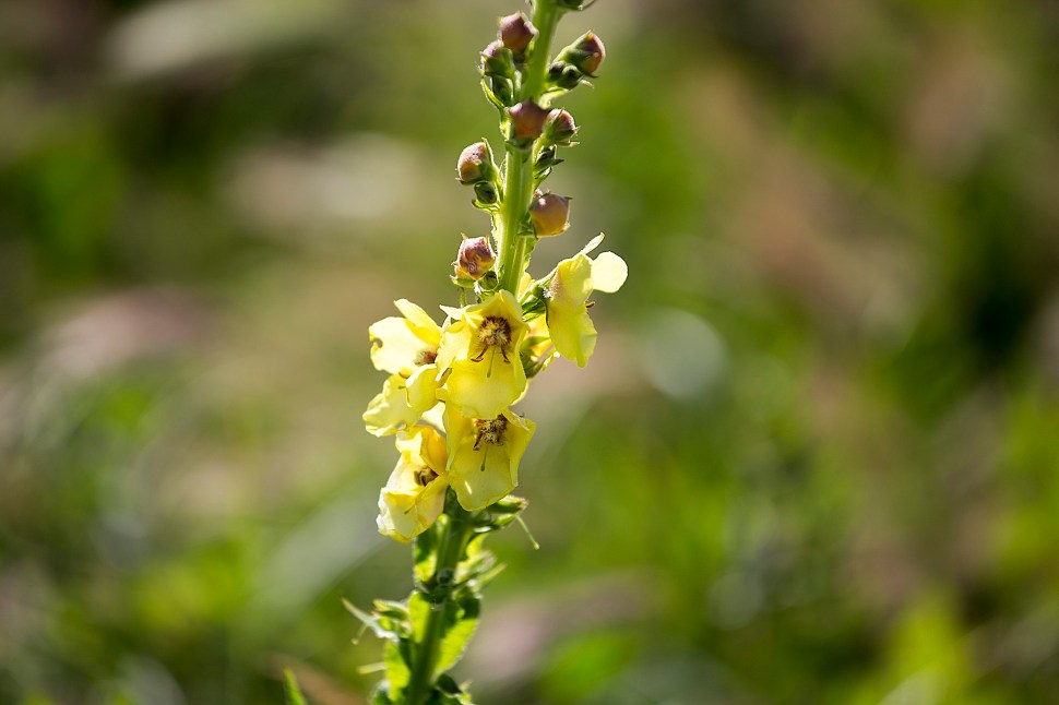 oneofthosesummerdays3