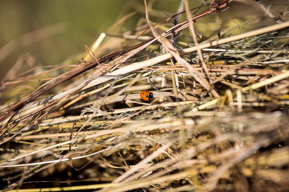 oneofthosesummerdays4