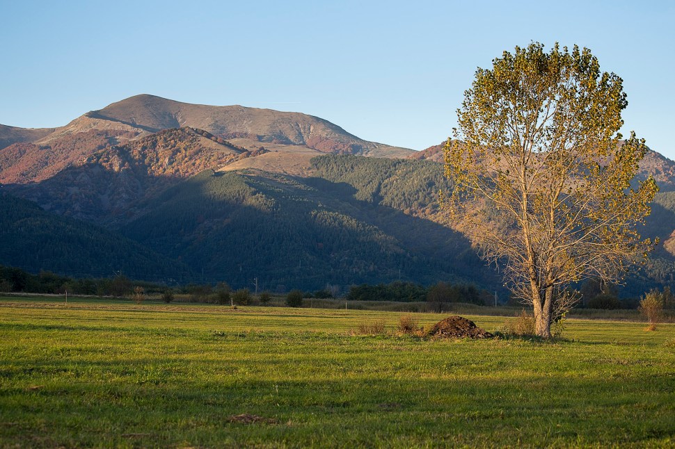 norestforthewicked01