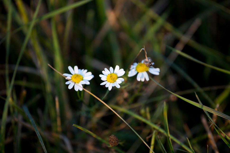 norestforthewicked06