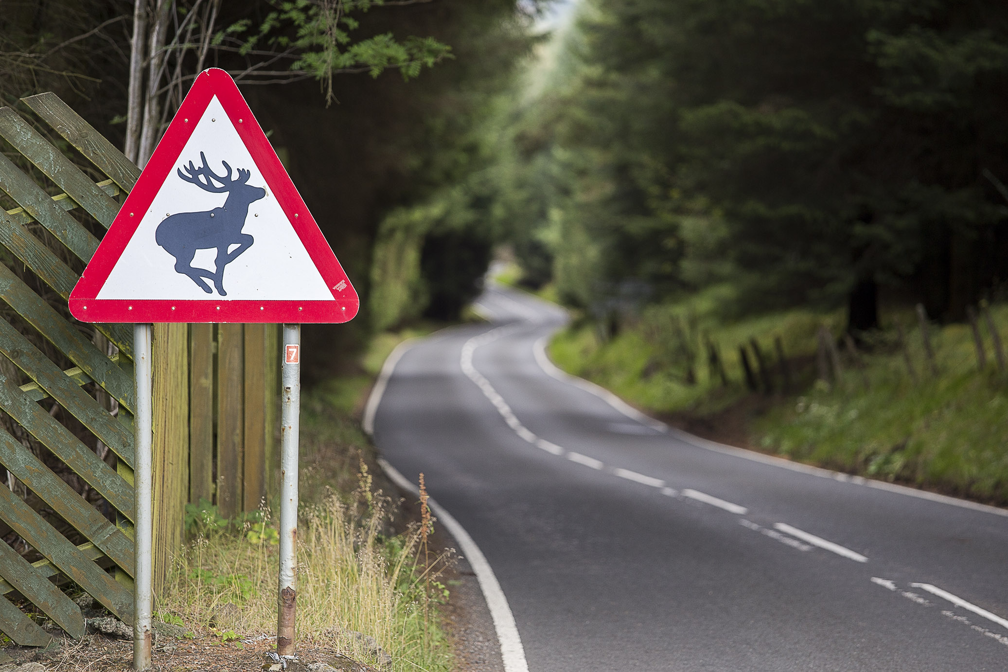 unforgettablescotland08