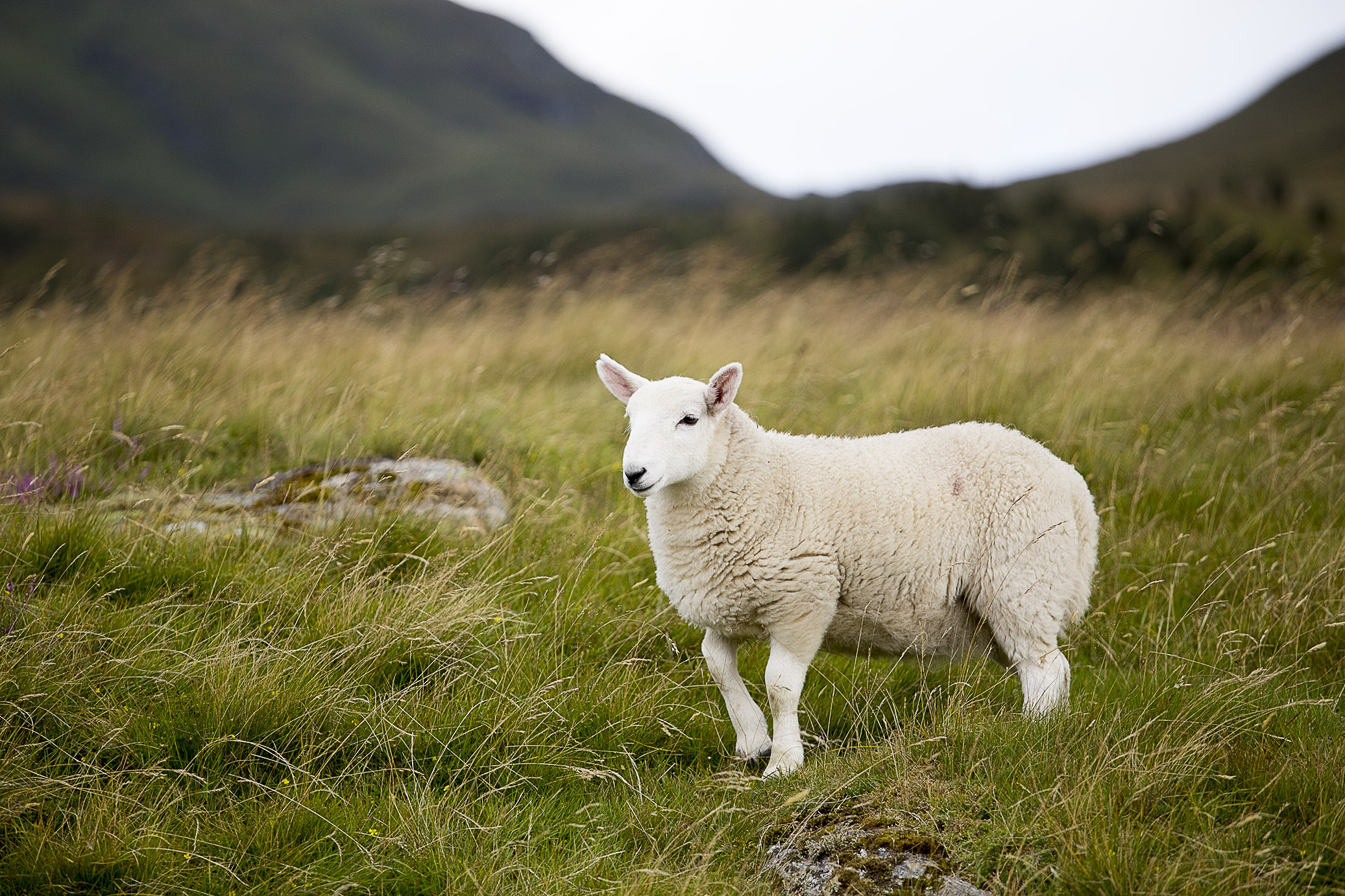 unforgettablescotland10