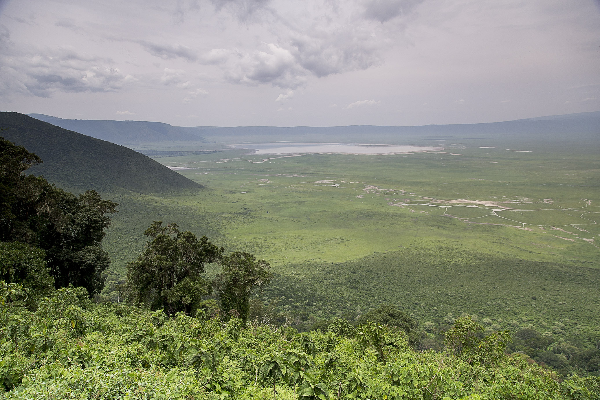 redandgreentanzania15