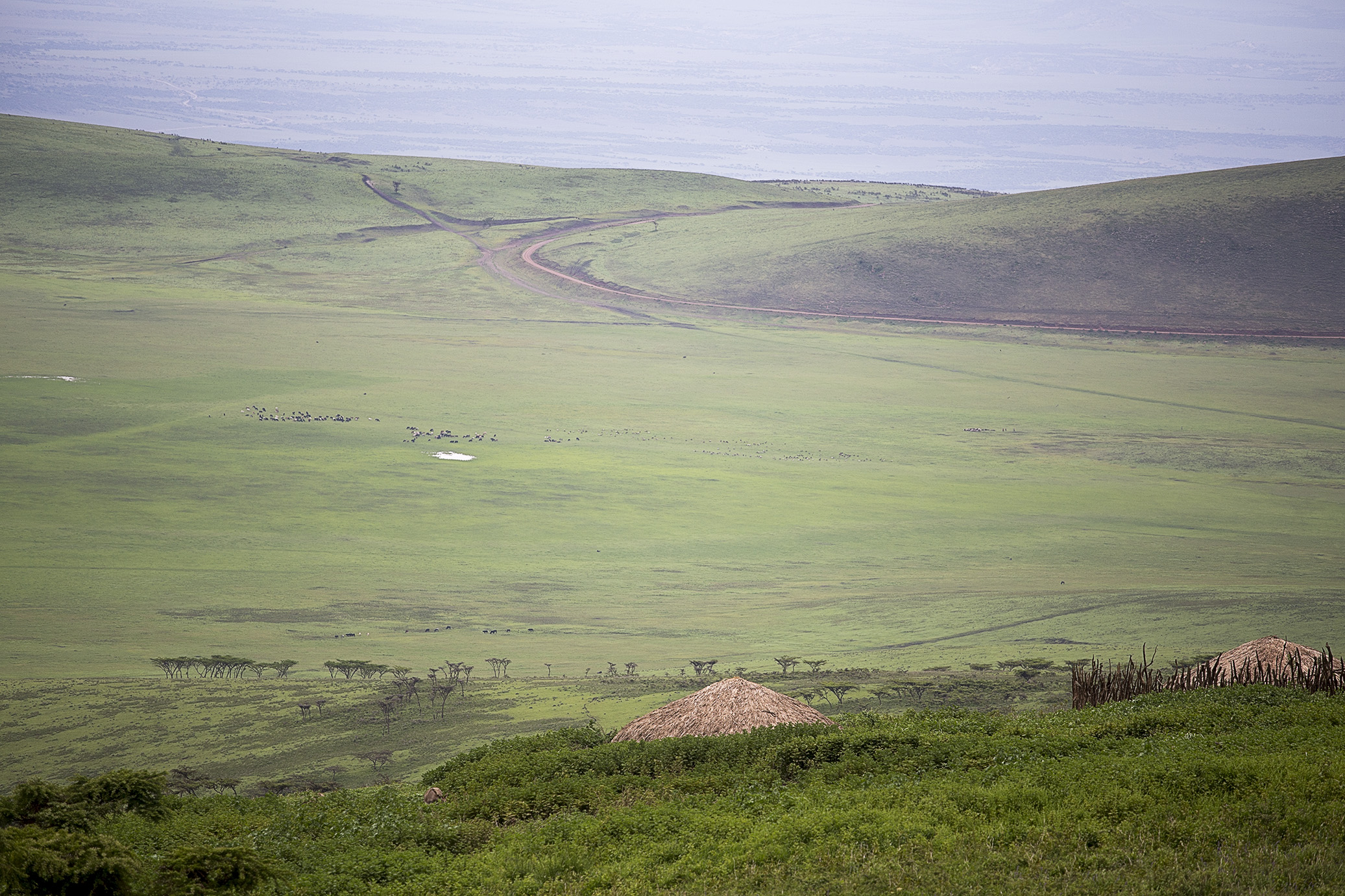 redandgreentanzania19