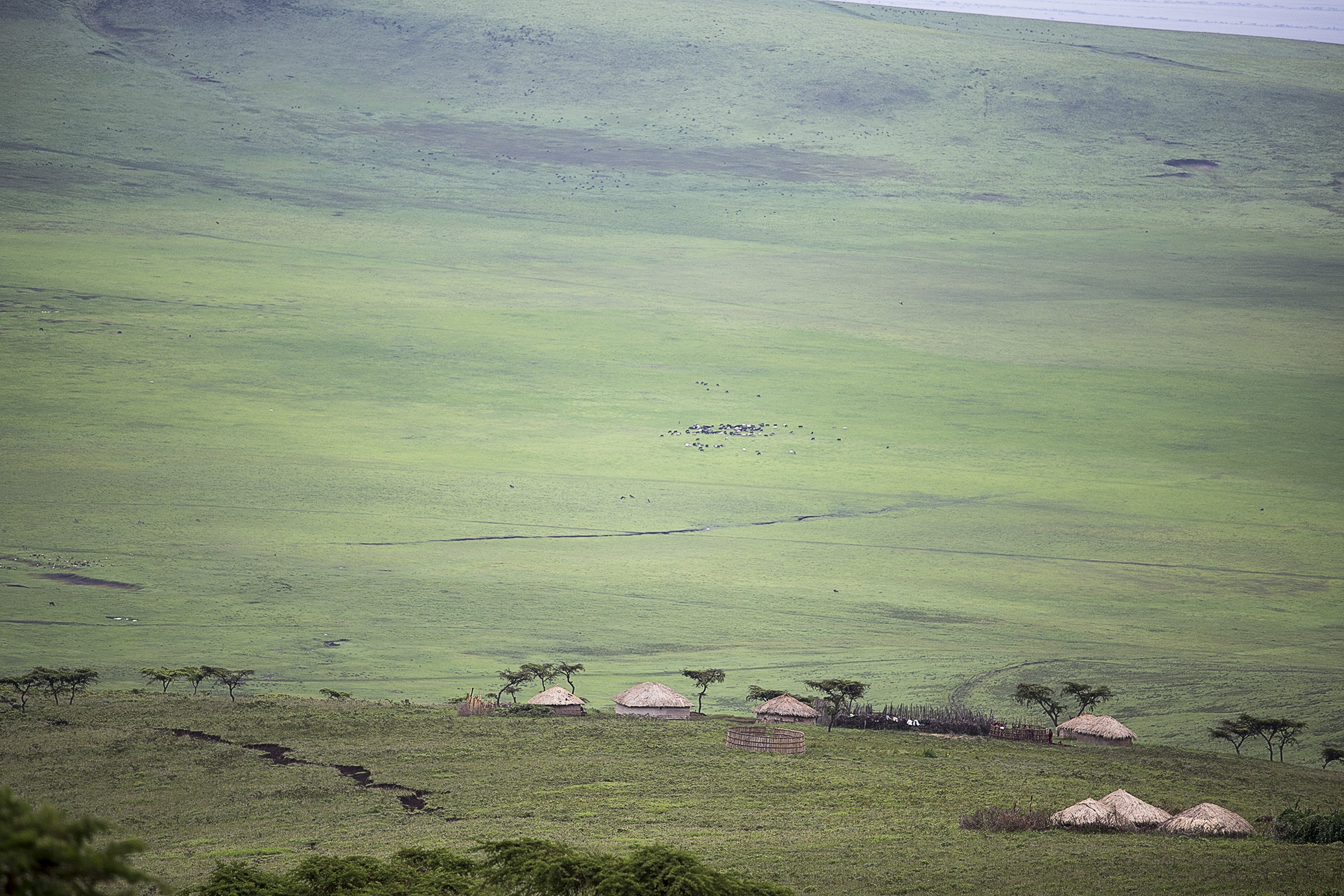 redandgreentanzania22