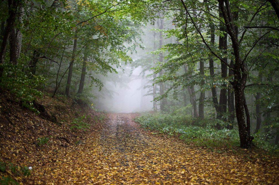 forallthatitsworth_04