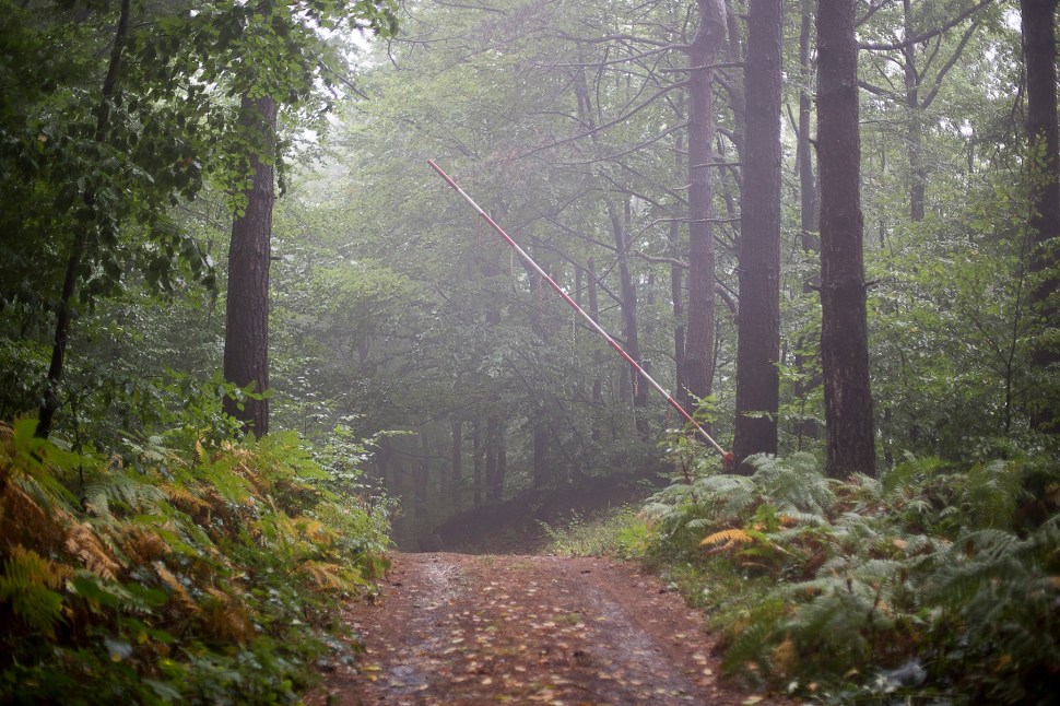 forallthatitsworth_05