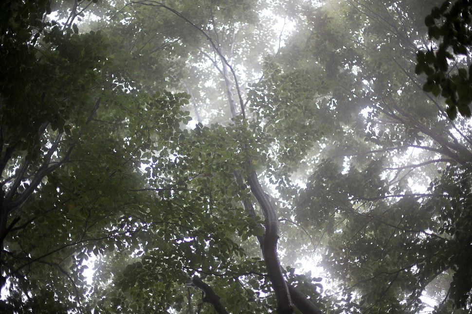 forallthatitsworth_09