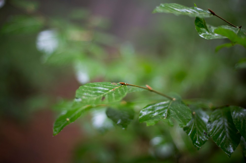 forallthatitsworth_10