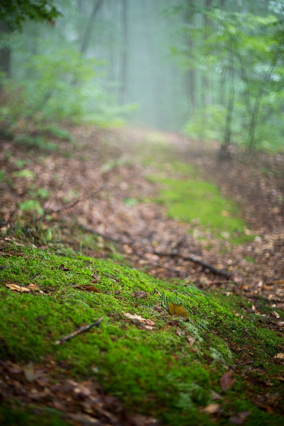 forallthatitsworth_11