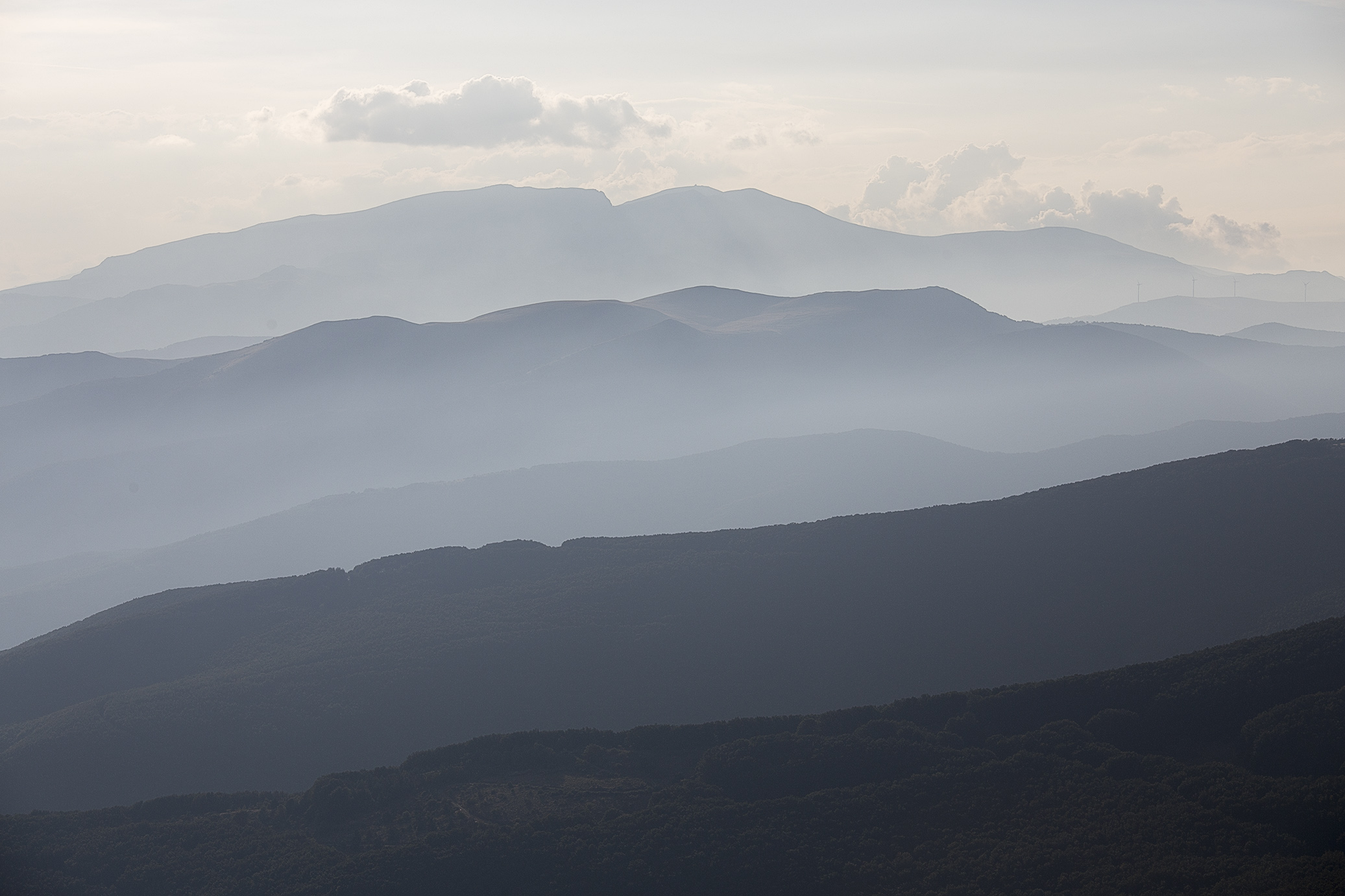 neverforgetyourpast14